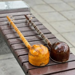 راهنمای انتخاب و خرید سه تار مفاخری در جاناساز 01